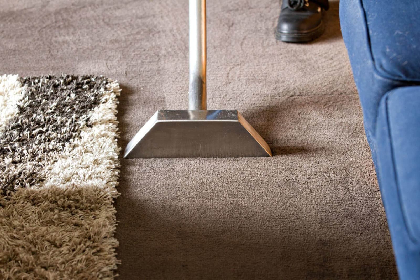 Professional Dog Urine Carpet Treatment Placer County Services