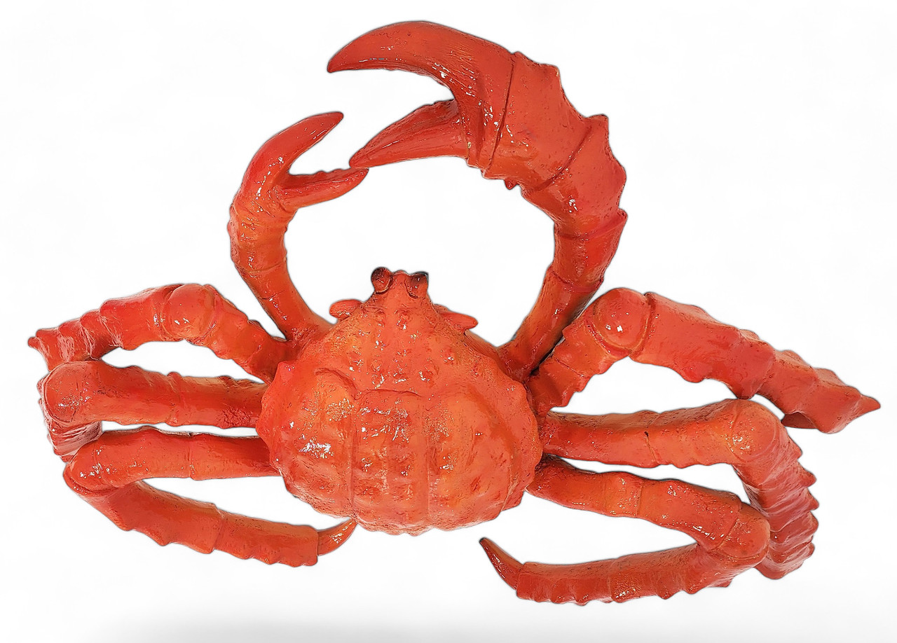 Norwegian king crab wholesale supplier offering premium export-quality seafood